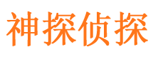 石峰市侦探